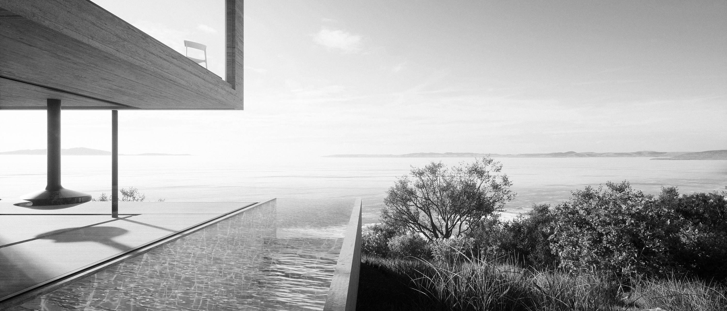 Penguin's view
